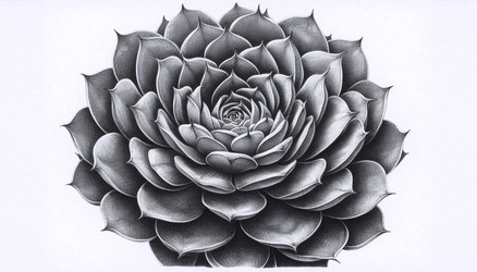 Similar image 22521575