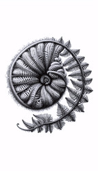 Similar image 22521606