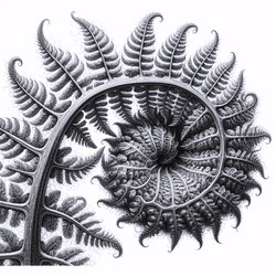 Similar image 22521620