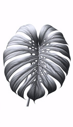 Similar image 22521621