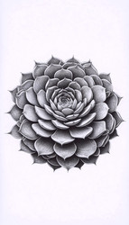 Similar image 22521681