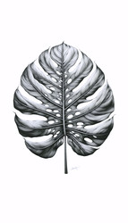 Similar image 22522466