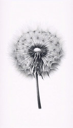 Similar image 22523875