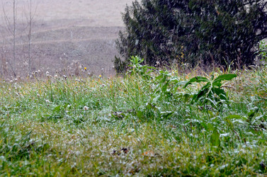 Similar image 22489501