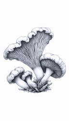 Similar image 22520238