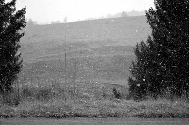 Similar image 22489502