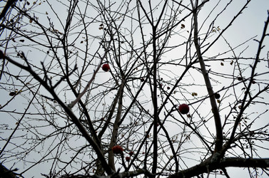 Similar image 22489503