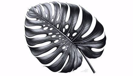 Similar image 22520374