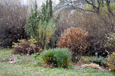 Similar image 22489515