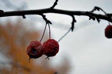 Similar image 22489516