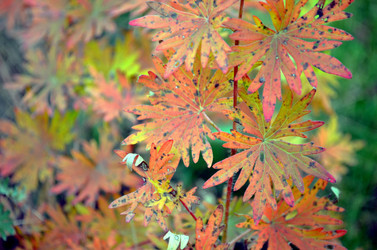 Similar image 22489518