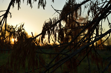 Similar image 22489521