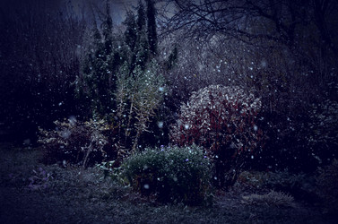 Similar image 22489522
