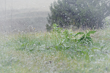 Similar image 22489523