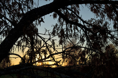 Similar image 22489524