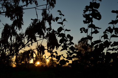 Similar image 22489525