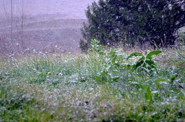 Similar image 22489527