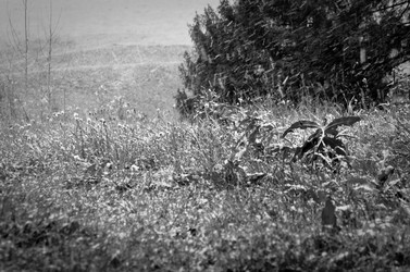 Similar image 22489529