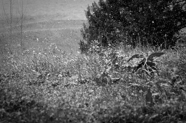 Similar image 22489531