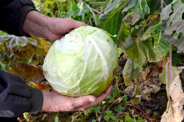 Similar image 22489533