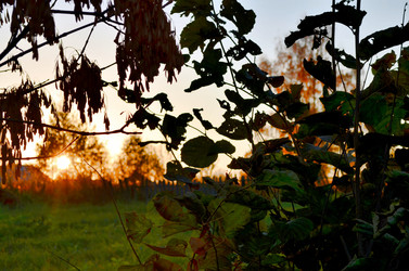 Similar image 22489534