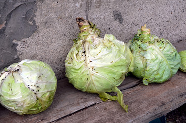 Similar image 22489536