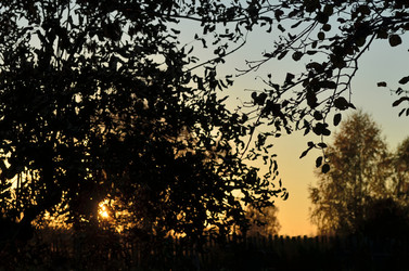 Similar image 22489538