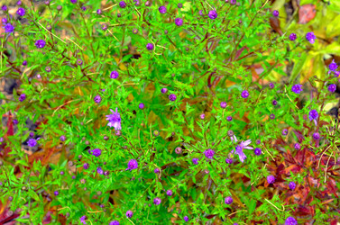 Similar image 22489540