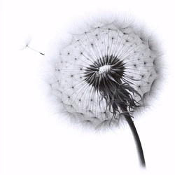 Similar image 22521155