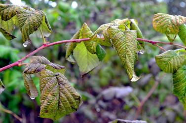 Similar image 22489541