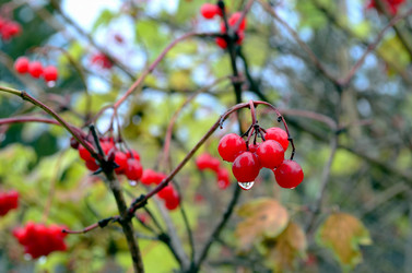 Similar image 22489543