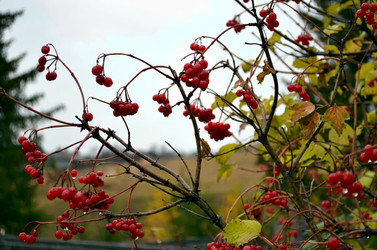 Similar image 22489553