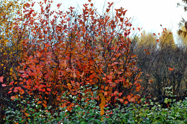 Similar image 22489555