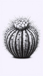 Similar image 22521530