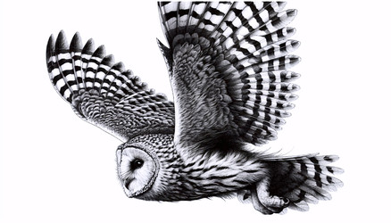 Similar image 22521607