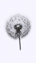 Similar image 22521669