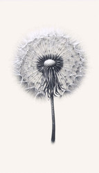 Similar image 22522274