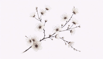 Similar image 22524237