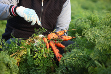 Similar image 22501998