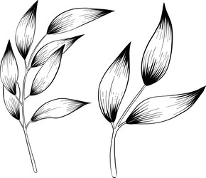 Similar image 22492167