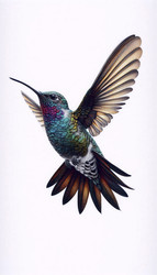 Similar image 22553437