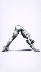 Similar image 22520256