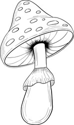 Similar image 22492130