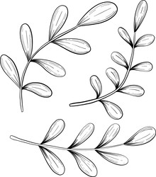 Similar image 22492135