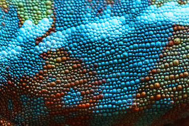 Similar image 22501833