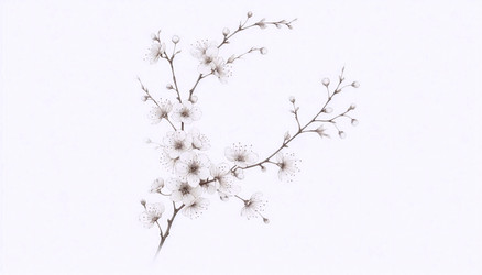 Similar image 22520872