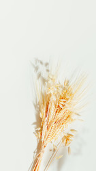 Similar image 22497827