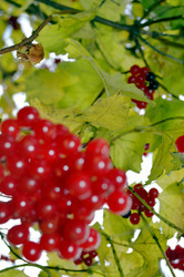 Similar image 22489558