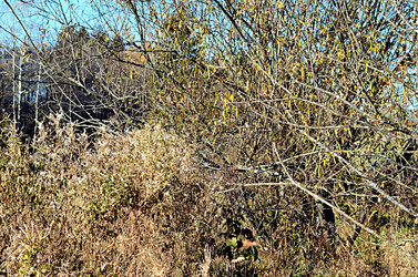 Similar image 22489559