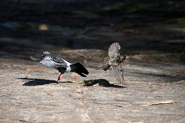 Similar image 22490063